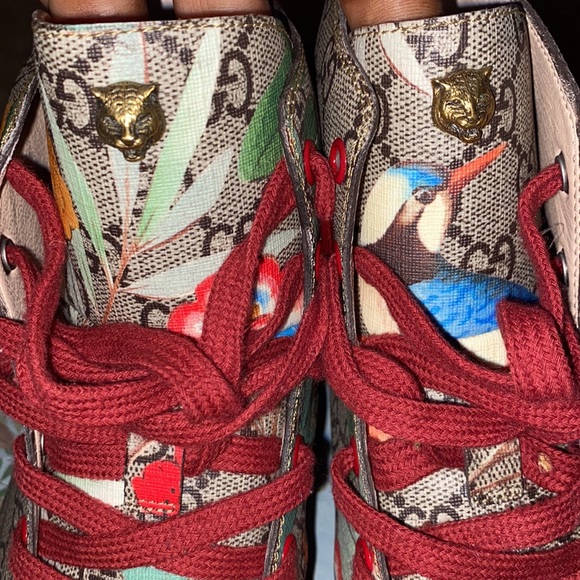 High top Gucci Shoes with Colorful Birds Printed and a metal tiger on the tongue - Picture 8 of 13